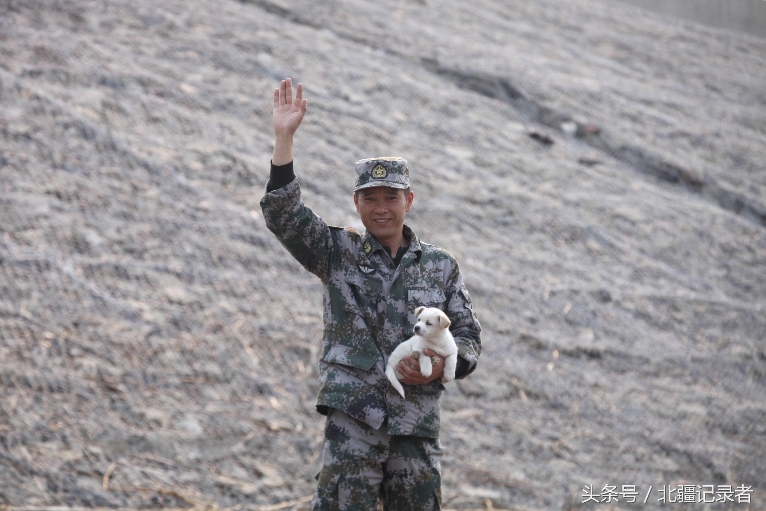 钱塘雪豹队鏖战南城暴熊队，板球邀请赛守住胜果，替补奇兵立功。韧性比赛的样板的简单介绍